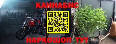 mdpv Можга